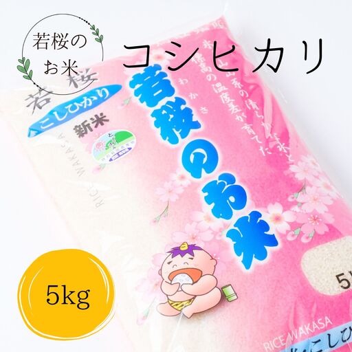 特別栽培米　若桜（わかさ）のお米　コシヒカリ　5kg [133]