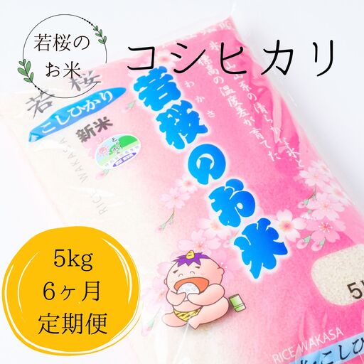 【定期便6ヶ月】特別栽培米　若桜（わかさ）のお米　コシヒカリ　6ヶ月定期便（精米5kg×6ヶ月） [136]