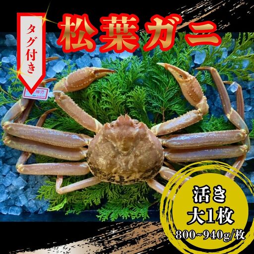 【活き】タグ付き松葉ガニ　大１枚(800～940ｇ前後) 【配送日時指定可】 [229-WK5]