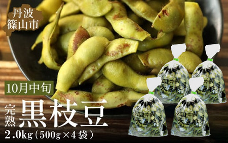 【早期予約/2026年10月中旬発送】令和8年産 丹波ふるさと村　丹波黒枝豆500g×4(枝なし) 大粒 黒枝豆 丹波篠山産 Q014