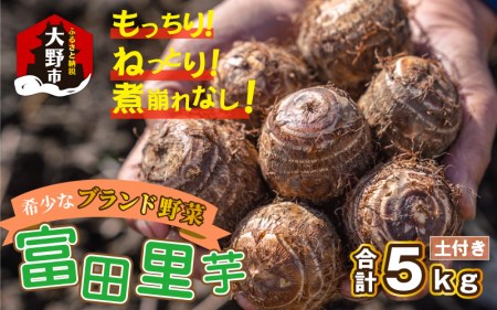 【先行予約】希少！とみた里芋 5kg ねっとりまろやか煮崩れなし！【11月より順次発送】 
