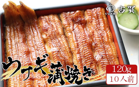 うなぎ処古賀の国産うなぎ本格炭火蒲焼120g10人前セット　【11100-0316】