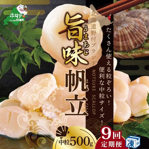 【毎月9ヶ月定期便】北海道 野付産 冷凍貝柱 旨粒ホタテ（3Sサイズ）500ｇ（ ほたて ホタテ 帆立 貝柱 玉冷 北海道 野付 別海町 人気 ふるさと納税 ）