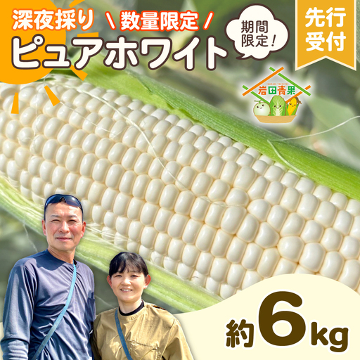 とうもろこし ピュアホワイト 6kg 茨城県産 トウモロコシ 深夜採り 朝出荷