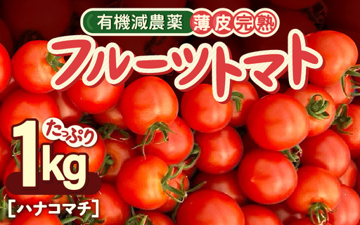 【先行予約】 有機減農薬 フルーツトマト 1kg 薄皮完熟 【2026年10月上旬以降順次発送予定】 【とまと ミディトマト 中玉トマト 野菜 やさい 新鮮 生食 アレンジ ジャム トマトソース サラダ 産地直送 国産】 [A-16206]