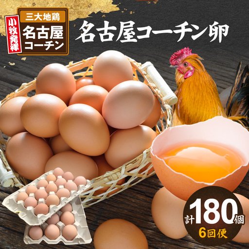 【6回便】名古屋コーチン卵(30個入り)×6回（計180個）　日本三大地鶏 小牧市発祥 コーチン卵 高品質卵 濃厚卵 [006K03-T]