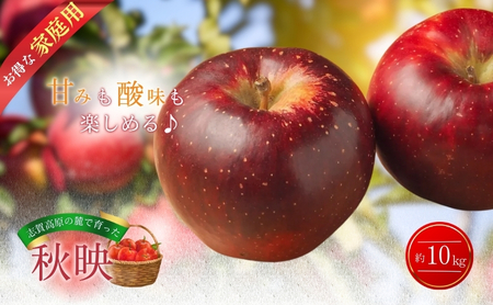 りんご 志賀高原 秋映 家庭用 10kg りんご