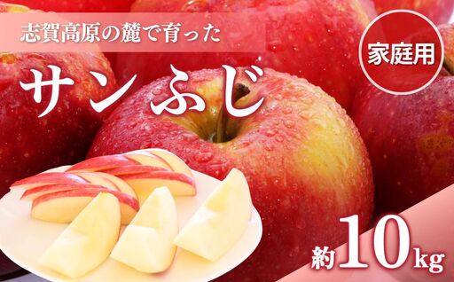 りんご 志賀高原 サンふじ 家庭用 10kg りんご
