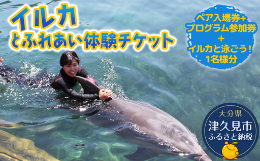 イルカと泳ごう！（イルカとふれあい体験） | 津久見市