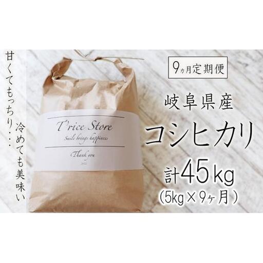 【９カ月定期便】岐阜県産コシヒカリ ５kg(合計４５kg) 2025/9/19～