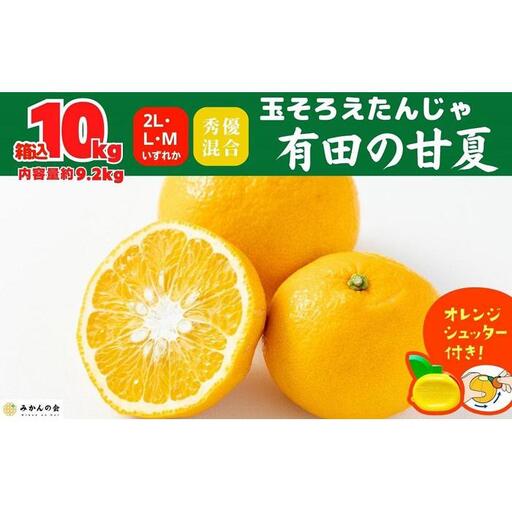 甘夏 玉ぞろい 箱込 10kg ( 内容量約 9.2kg ) 秀品 優品 混合 2L  L M サイズのいずれか 和歌山県 産地直送［みかんの会］