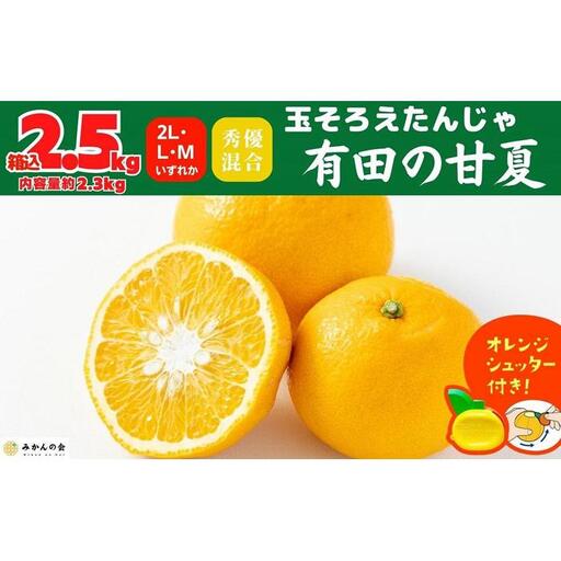 甘夏 玉ぞろい 箱込 2.5kg ( 内容量約 2.3kg ) 秀品 優品 混合 2L  L M サイズのいずれか 和歌山県 産地直送［みかんの会］