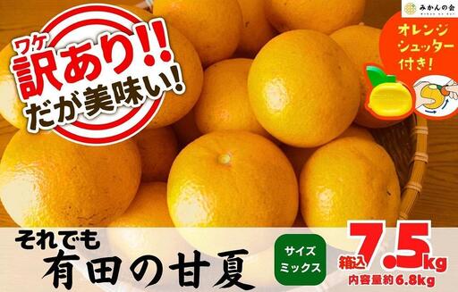 訳あり それでも 甘夏 箱込 7.5kg (内容量約 6.8kg)  サイズミックス 産地直送 家庭用【みかんの会】