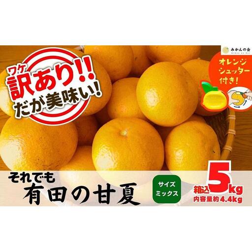 訳あり それでも 甘夏 箱込 5kg (内容量約4.4kg)  サイズミックス 産地直送 家庭用［みかんの会］