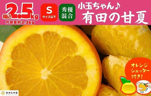 甘夏 小玉ちゃん 箱込 2.5kg (内容量約2.3kg) 秀品 優品 混合 Sサイズ以下 産地直送 【みかんの会】