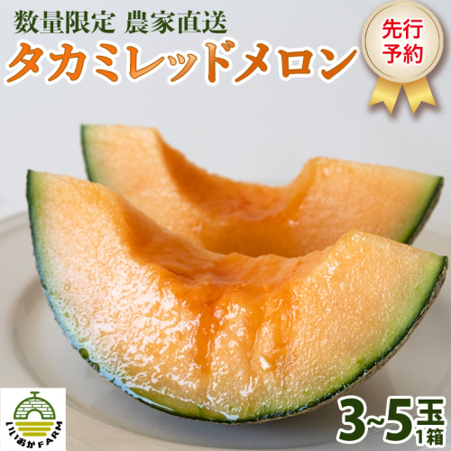 【先行受付】メロン タカミレッドメロン 1箱 3玉～5玉  2026年発送