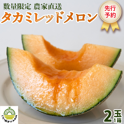 【先行受付】メロン タカミレッドメロン 1箱 2玉  2026年発送