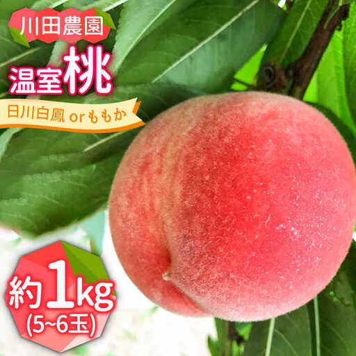 【2027年6月-発送】温室桃 約1kg [SAP002] 桃