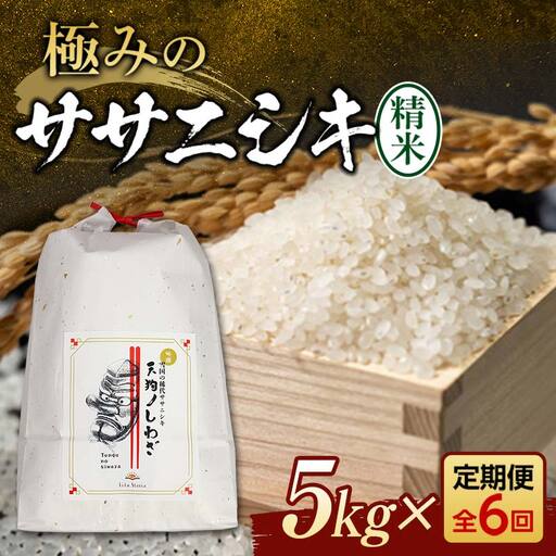 【令和8年産米先行予約】6回 定期便 極みの ササニシキ 精米 5kg 新米 F3S-2854