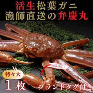 松葉ガニ活生「特々大1枚」ブランドタグ付き※着日指定不可※[弁慶丸]