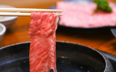伊賀牛[冷蔵]森辻の伊賀牛 A5 しゃぶしゃぶ用(肩ロース)約500g[mrtj0003-1]