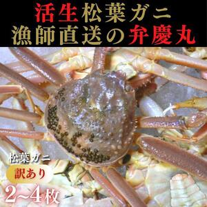 松葉ガニ 訳ありAセット※着日指定不可※[弁慶丸]
