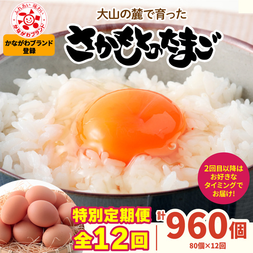 [特別定期便全12回] たまご 2回目以降はお好きなタイミングでお届け! 坂本養鶏 大山の麓で育ったさかもとのたまご 合計960個 (80個×12回) 玉子 鶏卵 [0399b]