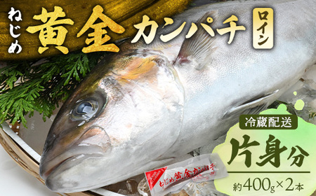 【配送日指定可能】 鹿児島 ねじめ黄金カンパチ ロイン 片身分（約400g×2本）冷蔵便 JF-507 | 魚 直送 養殖 根占 さかな 身が引き締まった かんぱち 漁師 刺身 寿司 しゃぶしゃぶ ぷりぷり食感 鹿児島県 南大隅町 ねじめ漁業協同組合