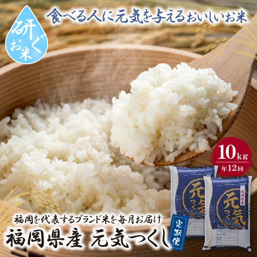 Z17-87 研ぐお米福岡県産・元気つくし10kg定期便(毎月・年12回)