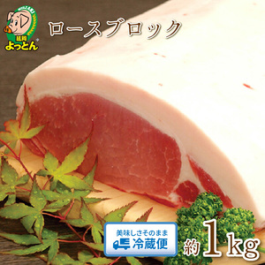延岡よっとん ロースブロック約1kg N003-YA966