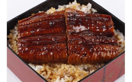 【訳あり】 鹿児島県産うなぎ蒲焼（有頭）×2尾（280ｇ） 冷蔵_ss0276_CR