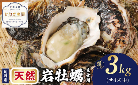 延岡産天然岩牡蠣(生食用)3kg(中)(2026年4月15日から発送開始)