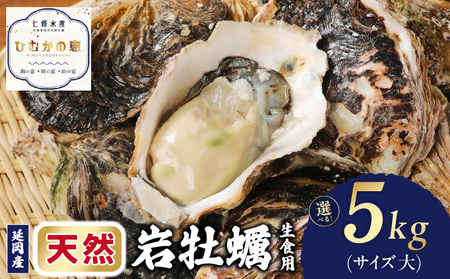 延岡産天然岩牡蠣（生食用）5kg（大）（2026年4月15日から発送開始）N036-YB307