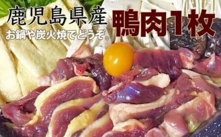 鹿児島県産自然育ちの鴨肉(合鴨肉) 1枚 【12月以降順次発送】_ss0120_CR