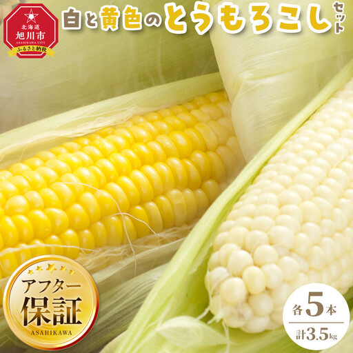 【先行予約】旭川近郊産 白と黄色のとうもろこしセット　各5本（計3.5kg）2026年8月上旬から発送開始 | とうもろこし 北海道産 _00094