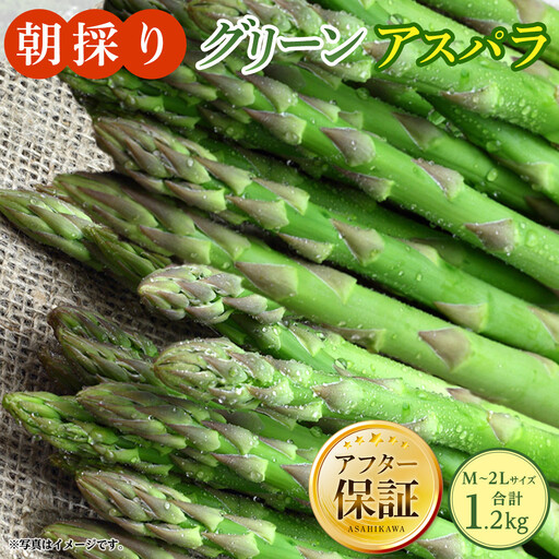 朝採り グリーンアスパラ M～2L 1.2kg (2027年5月下旬発送開始予定) | アスパラ 北海道