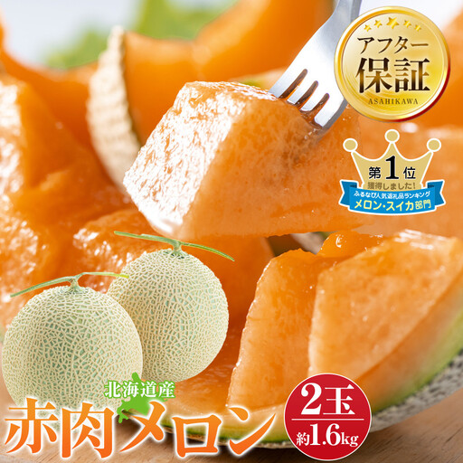 高評価【先行予約】北海道産赤肉メロン1.6kg×2玉 (2026年7月中旬から発送開始) | メロン_02061