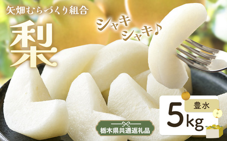 梨 豊水 5kg[栃木県共通返礼品][配送不可地域あり](離島)