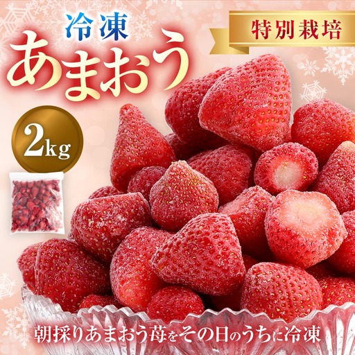 【特別栽培】うるう農園 冷凍あまおう 2kg あまおう イチゴ いちご 苺 フルーツ 果物【2027年1月上旬発送開始】