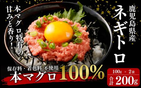 AS-022　鹿児島県産 本マグロ100% ネギトロ 200g(100g×2) 約4人前 【2026年1月下旬より順次出荷】 
