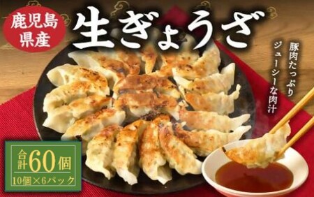 鹿児島 生 ぎょうざ 60個 たれ付き ギョウザ 餃子 生餃子 豚肉 肉 薩摩川内市 ASR-0101