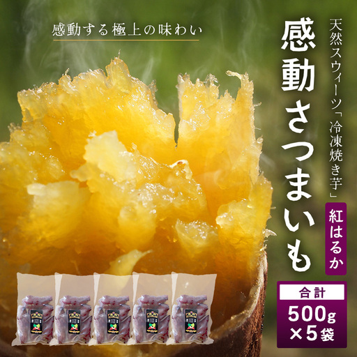 [冷凍焼芋]感動さつまいも 熟成紅はるか 500g×5パック FR-504 