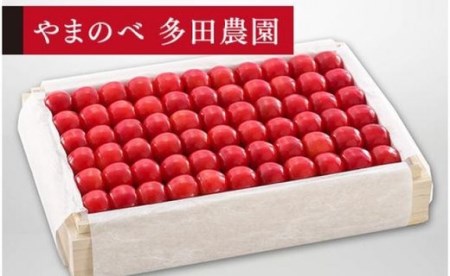 《2027年先行予約》【特選佐藤錦】桐箱詰 約1,100g【やまのべ多田耕太郎のさくらんぼ 多田農園】期間限定 数量限定 F4A-0011