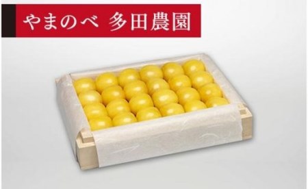 《2027年先行予約》【特選月山錦】桐箱詰 約300g【やまのべ多田耕太郎のさくらんぼ 多田農園】期間限定 数量限定 F4A-0025