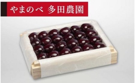 《2027年先行予約》【特選サミット】桐箱詰 約300g【やまのべ多田耕太郎のさくらんぼ 多田農園】期間限定 数量限定 F4A-0043