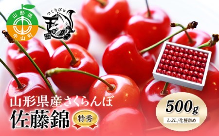[先行予約・期間限定]さくらんぼ 佐藤錦 特秀 L-2L 500g[化粧詰め]数量限定 山形県産 サクランボ フルーツ 果物 くだもの