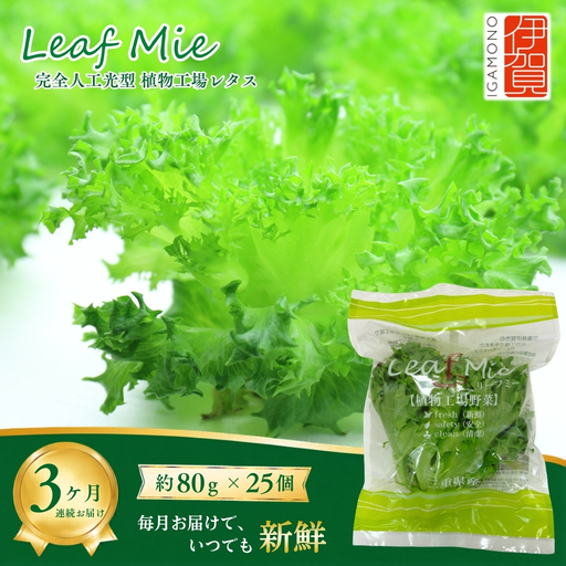 [農薬不使用]レタス Leaf Mie(完全人工光型植物工場レタス)約80g×25個 3ヶ月連続お届け[fskk-tkb0001]