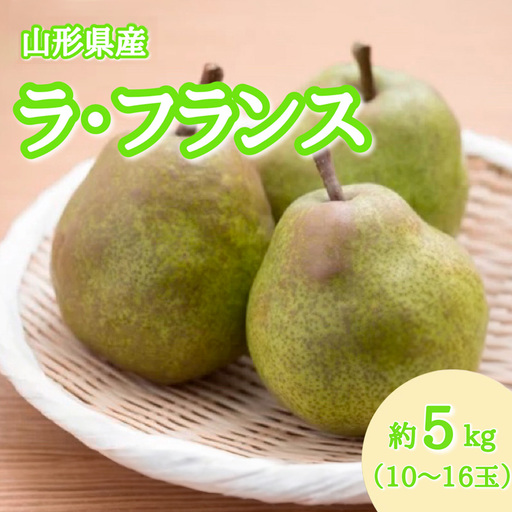 山形産 ラ・フランス 秀品 約5kg(10～16玉)【令和8年産先行予約】FS25-795