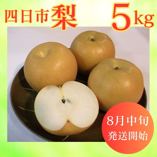 【先行予約】水谷さんが真心こめて育てた梨 5kg