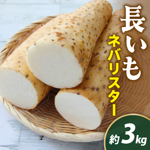[先行予約 2026年収穫分]長いも(ネバリスター)3kg1箱 / 長いも